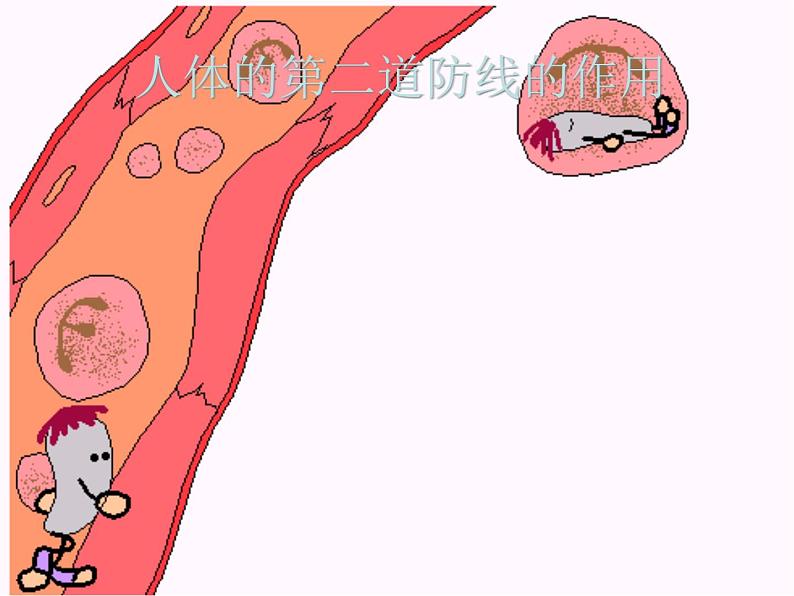 人教版生物八年级下册 第二节 免疫与计划免疫 (2) 课件第8页