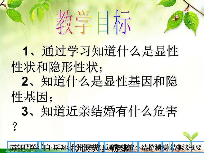 人教版生物八年级下册 第三节 基因的显性和隐性 (3) 课件第2页