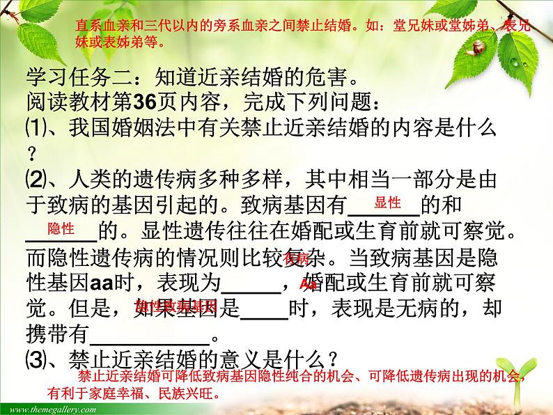 人教版生物八年级下册 第三节 基因的显性和隐性 (3) 课件第6页