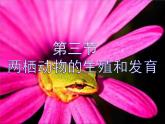 人教版生物八年级下册 第三节 两栖动物的生殖和发育 (1) 课件