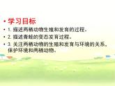 人教版生物八年级下册 第三节 两栖动物的生殖和发育 (2) 课件