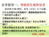人教版生物八年级下册 第三节 两栖动物的生殖和发育 (2) 课件