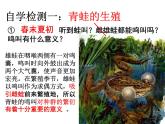人教版生物八年级下册 第三节 两栖动物的生殖和发育 (2) 课件