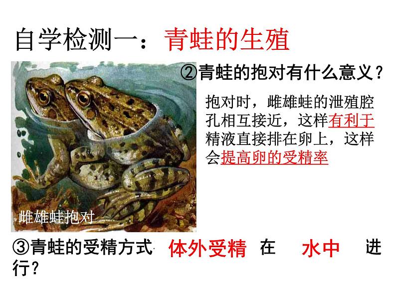 人教版生物八年级下册 第三节 两栖动物的生殖和发育 (2) 课件第5页