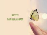 人教版生物八年级下册 第三节 生物进化的原因 (1) 课件