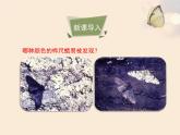人教版生物八年级下册 第三节 生物进化的原因 (1) 课件