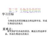 人教版生物八年级下册 第三节 生物进化的原因 (2) 课件