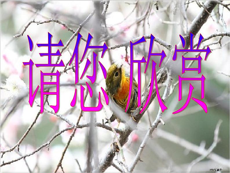 人教版生物八年级下册 第四节 鸟的生殖和发育 (1) 课件第2页