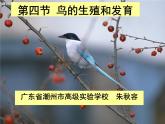 人教版生物八年级下册 第四节 鸟的生殖和发育 (2) 课件