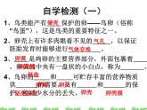 人教版生物八年级下册 第四节 鸟的生殖和发育 (2) 课件