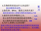 人教版生物八年级下册 第四节 人的性别遗传 (1) 课件