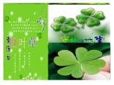 人教版生物八年级下册 第五节 生物的变异 (2) 课件