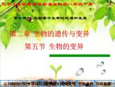 人教版生物八年级下册 第五节 生物的变异 (3) 课件