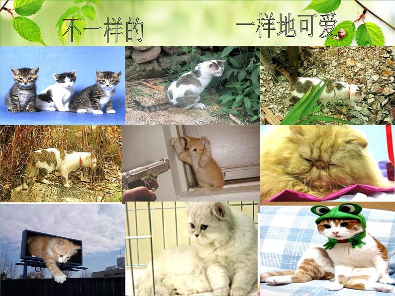 人教版生物八年级下册 第五节 生物的变异 (3) 课件第6页