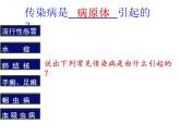 人教版生物八年级下册 第一节 传染病及其预防 (4) 课件