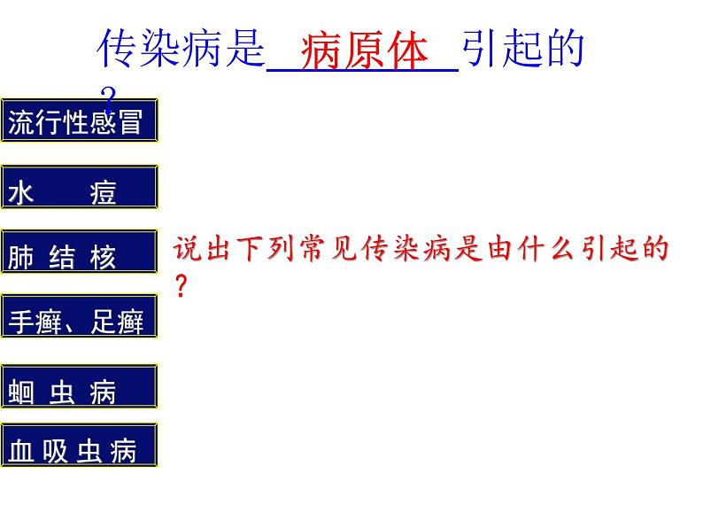 人教版生物八年级下册 第一节 传染病及其预防 (4) 课件第4页