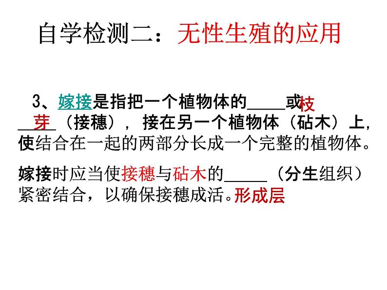 人教版生物八年级下册 第一节 植物的生殖(1) 课件第7页