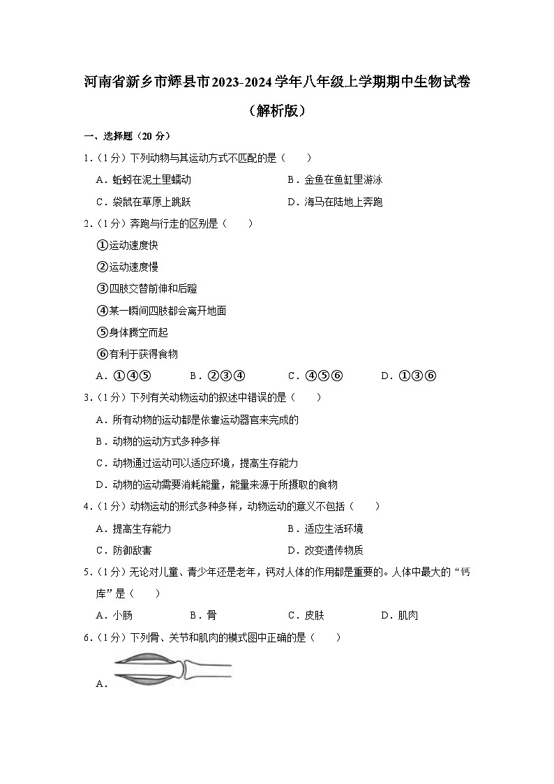 河南省新乡市辉县市2023-2024学年八年级上学期期中生物试卷01