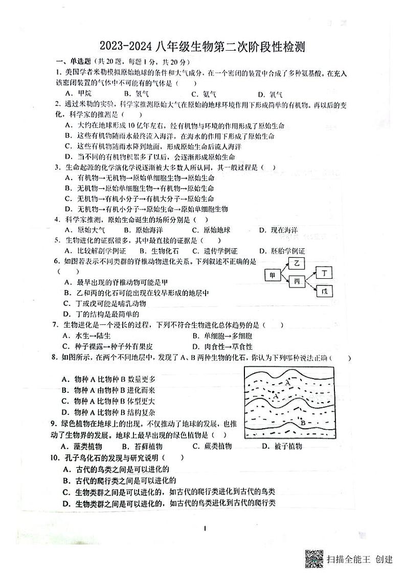 山东省枣庄市滕州市滕州育才中学2023-2024学年八年级上学期12月月考生物试题第1页