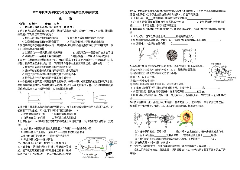 四川省泸州市龙马潭区2023-2024学年九年级上学期12月月考生物试题01