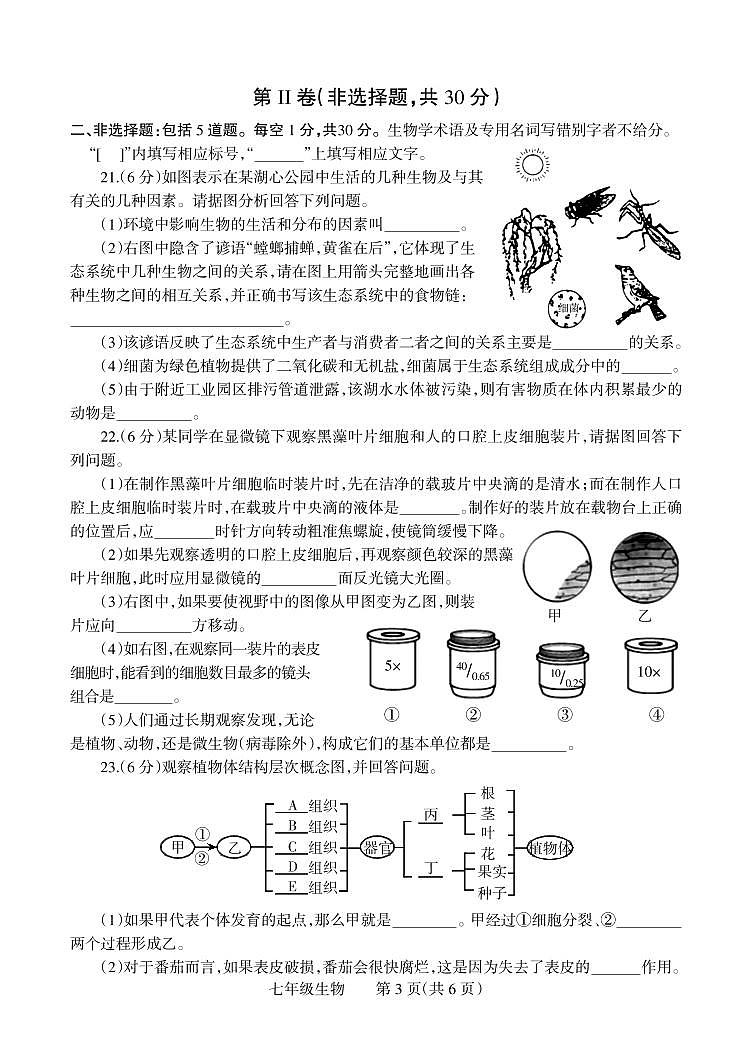 河南省焦作市温县2020-2021学年七年级上学期期末生物试卷第3页
