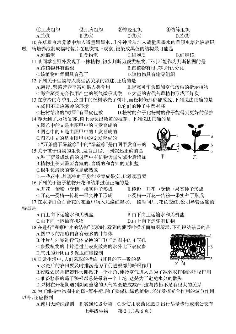 河南省焦作市温县2021-2022学年七年级上学期期末生物试卷02