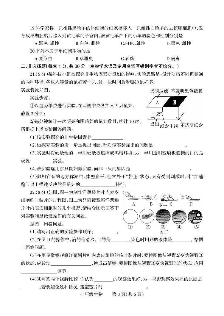 河南省焦作市温县2021-2022学年七年级上学期期中生物试卷03