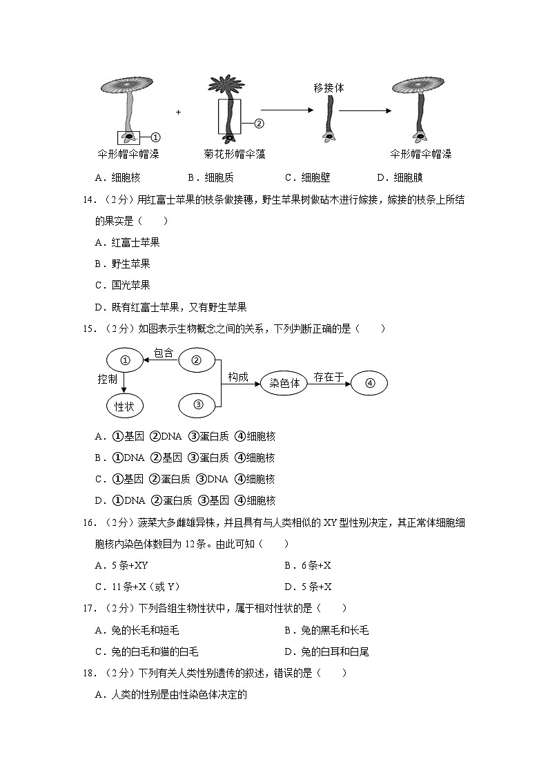 山东省枣庄市峄城区2023-2024学年八年级上学期期中生物试卷第3页