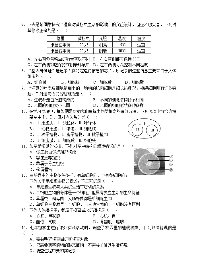 河北省保定市定兴县天宫寺中学2022-2023学年七年级上学期期末生物试题02