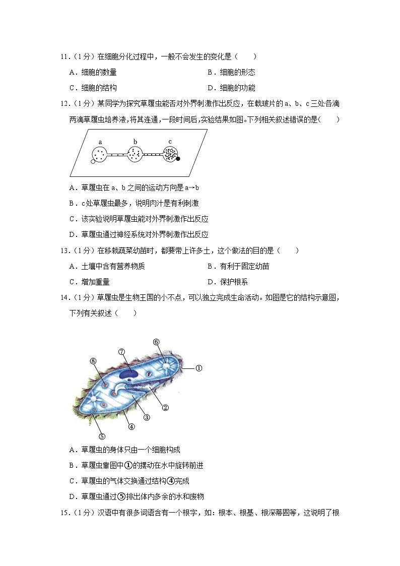 河南省平顶山市鲁山县2023-2024学年七年级上学期期中生物试卷03