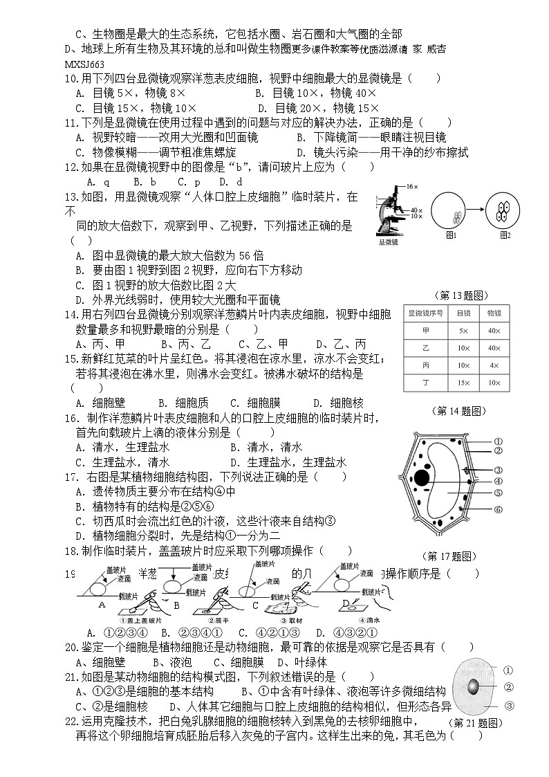 广东省广州市天河区同仁天兴学校2023-2024学年七年级上学期期中考试生物试题02