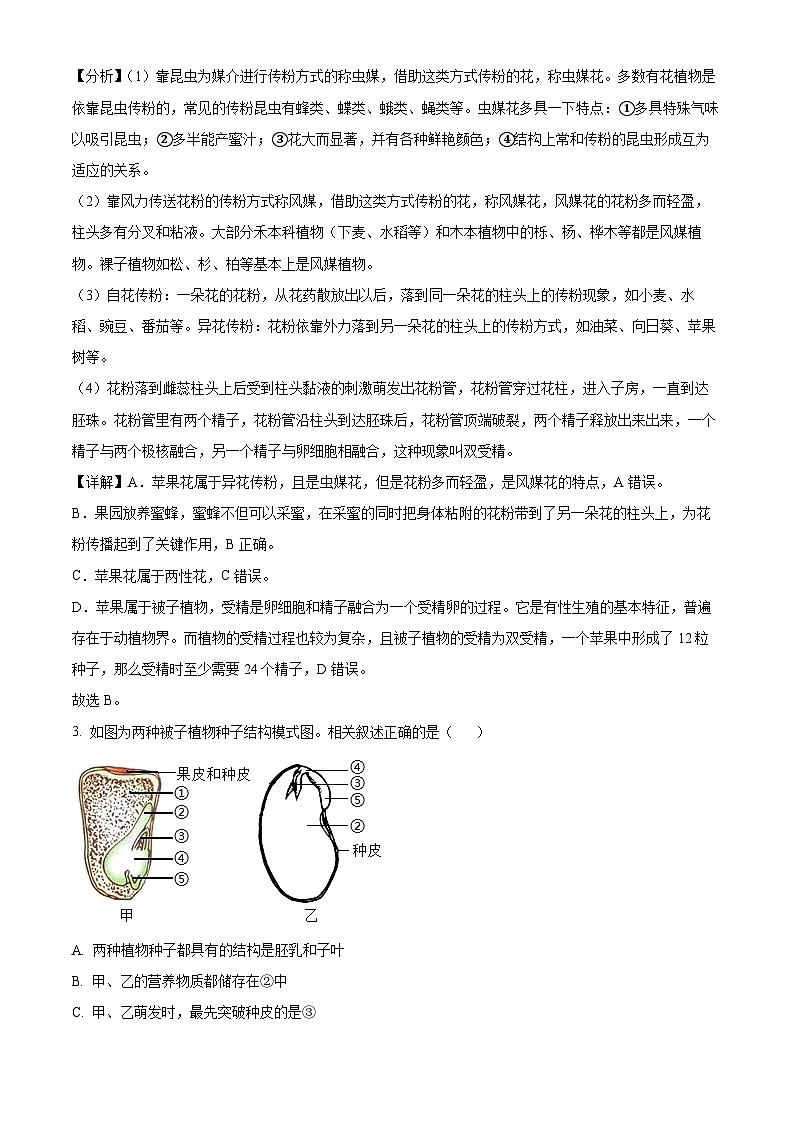 山东省德州市宁津县育新中学、刘营伍中学2023-2024学年八年级上学期期中生物试题（解析版）02
