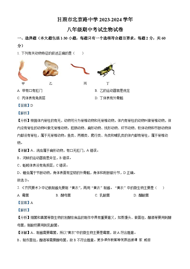 山东省日照市北京路中学2023-2024学年八年级上学期期中考试生物试卷（解析版）01