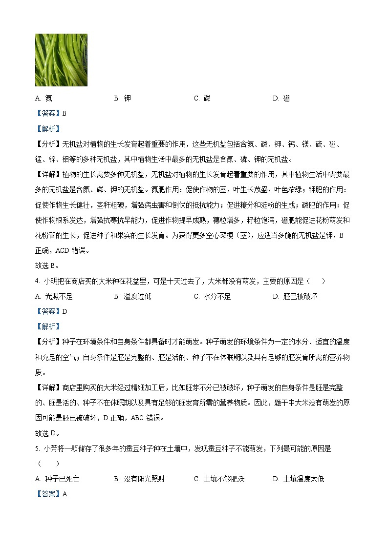 重庆市华东师范大学附属中旭科创学校2023-2024学年八年级上学期期中定时作业生物试题（解析版）02