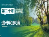 北师大版生物八年级上册《6.20.5遗传和环境》课件
