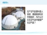 人教版生物八年级上册《5.4.5人类对细菌和真菌的利用》课件