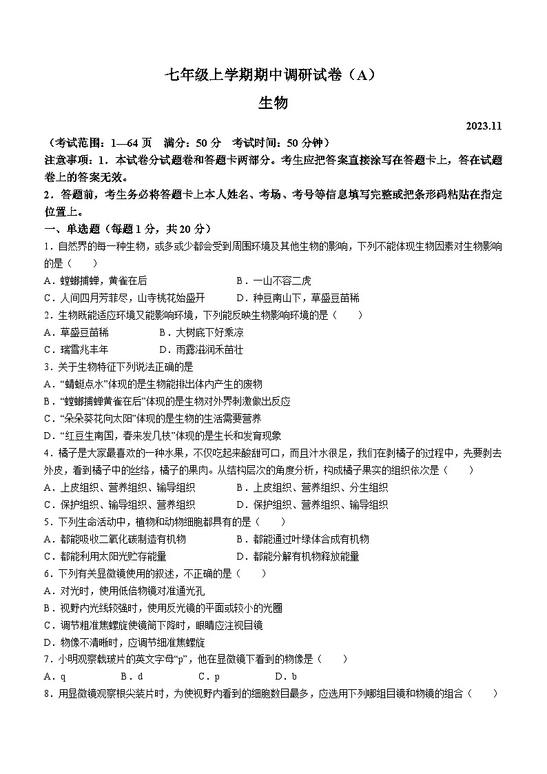 河南省安阳市滑县2023-2024学年七年级上学期期中生物试题01