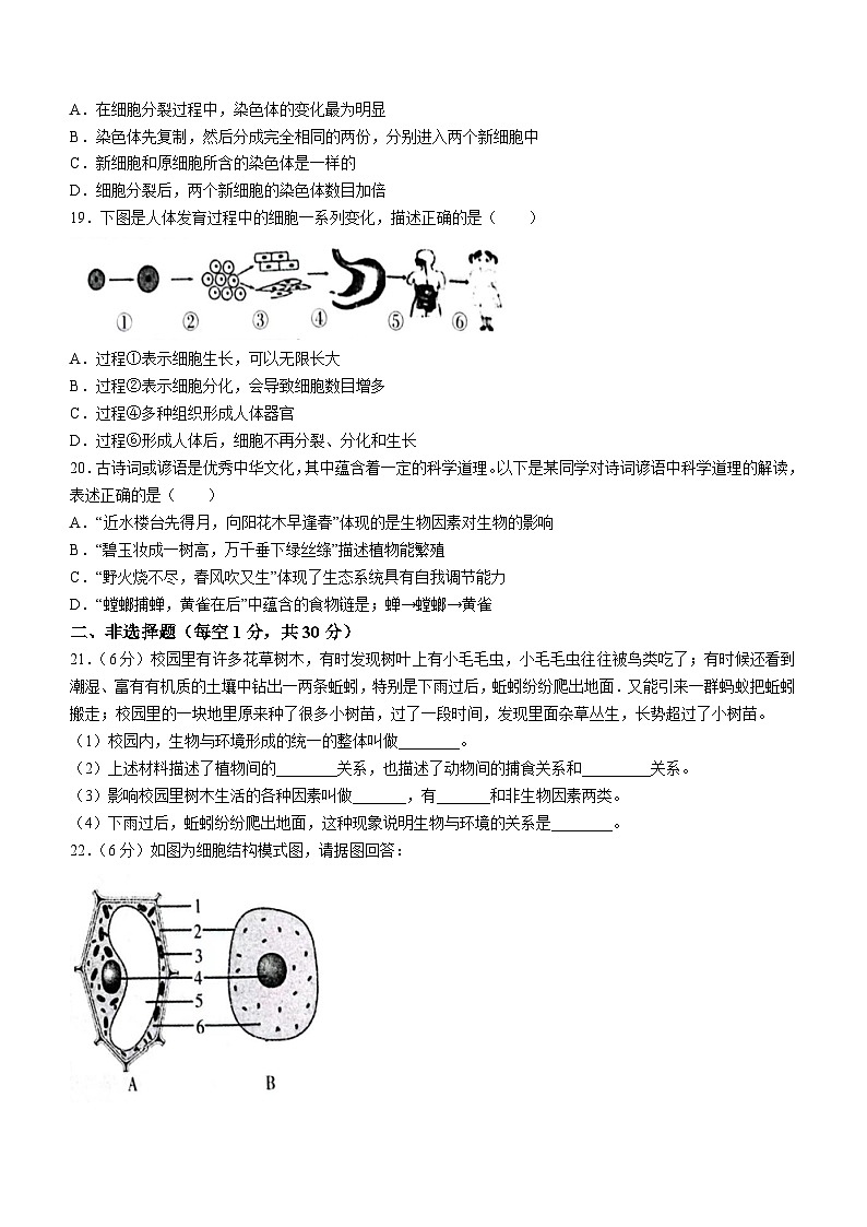 河南省安阳市滑县2023-2024学年七年级上学期期中生物试题03