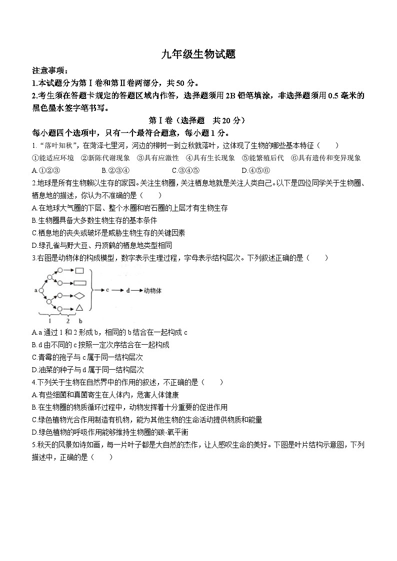 山东省菏泽市牡丹区2023-2024学年九年级上学期期中生物试题01