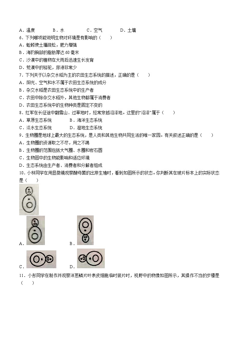 辽宁省丹东市凤城市2023-2024学年七年级上学期期中考试生物试题02