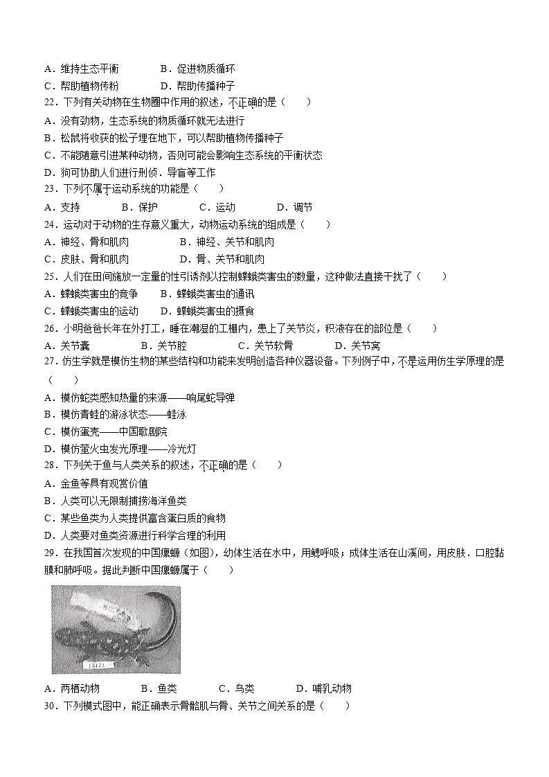 河北省邢台市信都区2023-2024学年八年级上学期期中考试生物试题第3页