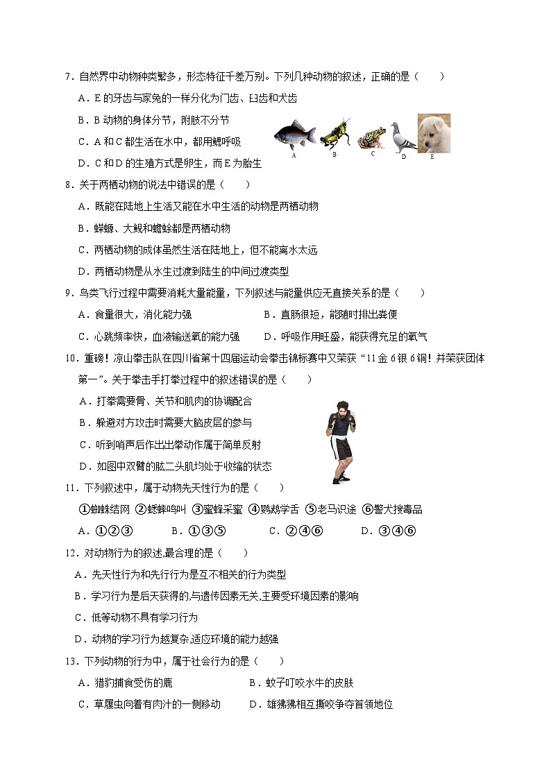 四川省凉山州宁南县初级中学校2023-2024学年八年级上学期12月月考生物试题02
