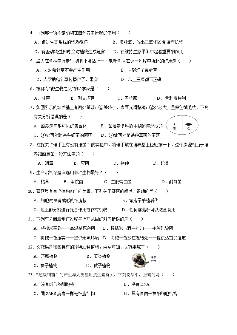 四川省凉山州宁南县初级中学校2023-2024学年八年级上学期12月月考生物试题03