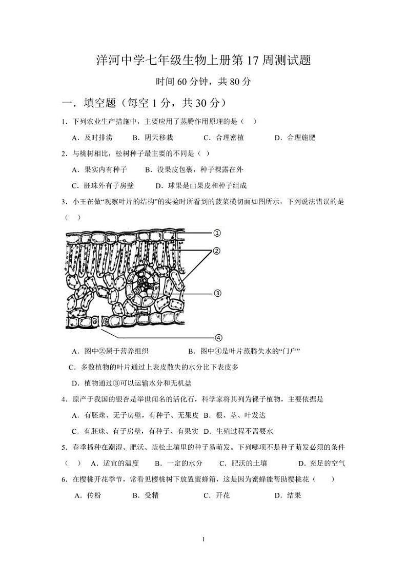 山东省青岛市胶州市洋河中学2023-2024学年七年级上学期第二次月考生物试题第1页