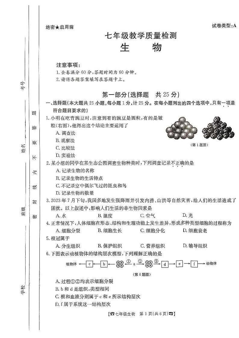 陕西省西安建筑科技大学附属中学2023-2024学年七年级上学期12月月考生物试题第1页