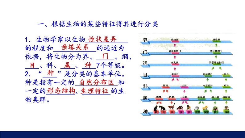 北师大版八年级生物下册课件 22.1 生物的分类教学课件07