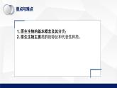 北师大版八年级生物下册课件 22.2 原生生物的主要类群教学课件