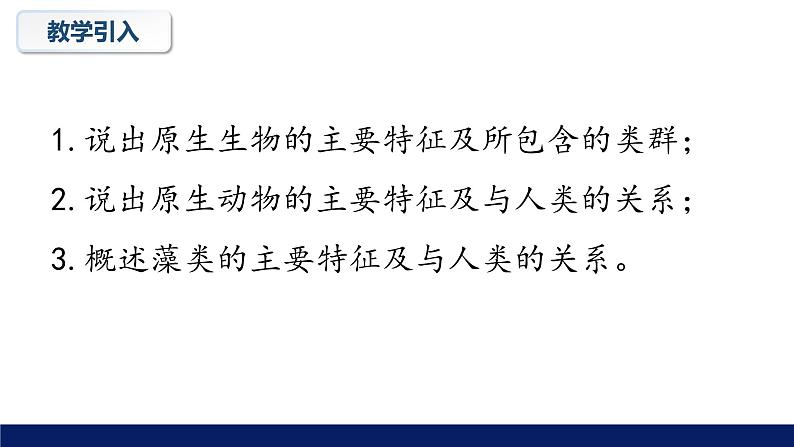 北师大版八年级生物下册课件 22.2 原生生物的主要类群教学课件第5页