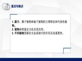 北师大版八年级生物下册课件 22.3 植物的主要类群教学（第一课时）课件
