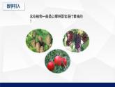 北师大版八年级生物下册课件 22.3 植物的主要类群教学（第二课时）课件